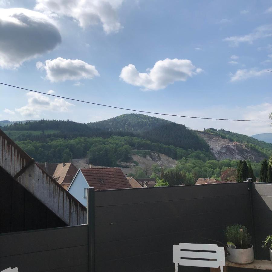 Muhlbach-sur-MunsterL Atypik A L Ancienne Forgeアパートメント エクステリア 写真
