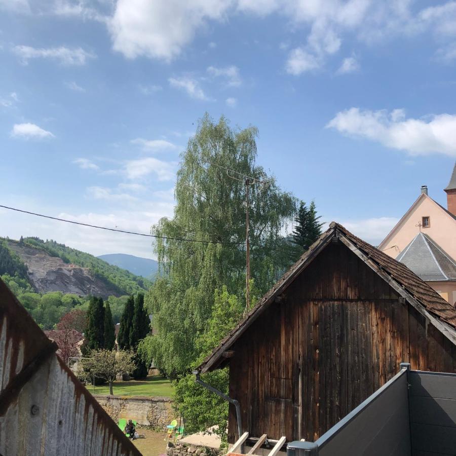 Muhlbach-sur-MunsterL Atypik A L Ancienne Forgeアパートメント エクステリア 写真